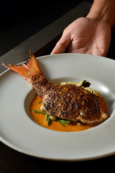 Gallery - CasCades Red Snapper