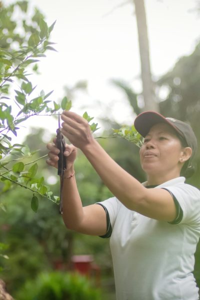 Viceroy Bali - Greenhouse
