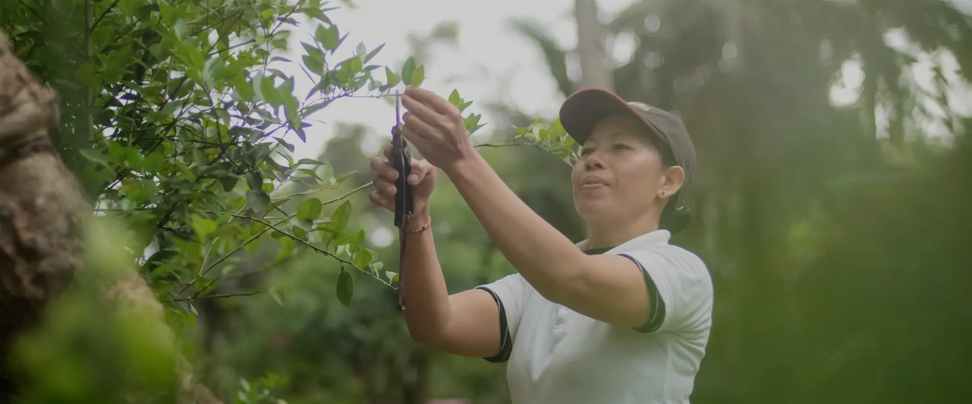 Viceroy Bali Greenhouse - cooking class